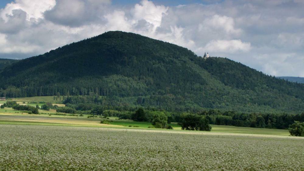 Agroturystyka Pod Sniezna Bystrzyca Kłodzka Εξωτερικό φωτογραφία